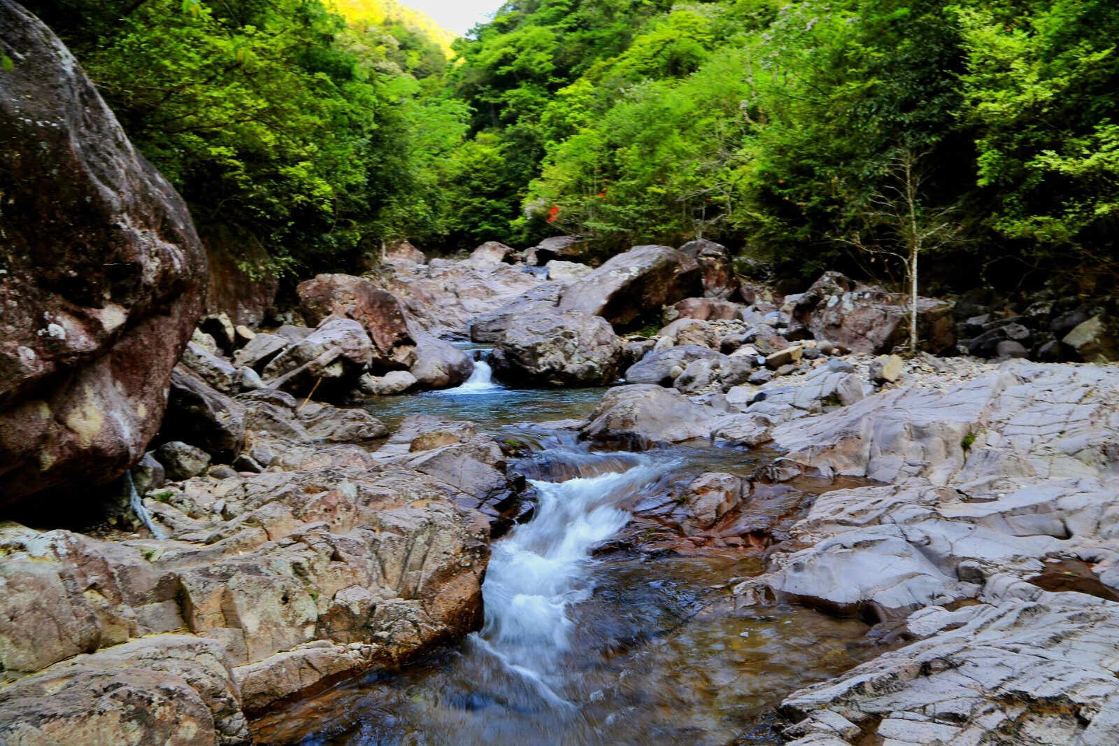 九龙山自然保护区
